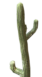 Kaktus